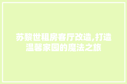 苏黎世租房客厅改造,打造温馨家园的魔法之旅 装修材料