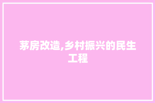 茅房改造,乡村振兴的民生工程 地面装修