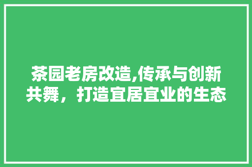 茶园老房改造,传承与创新共舞，打造宜居宜业的生态家园 地面装修