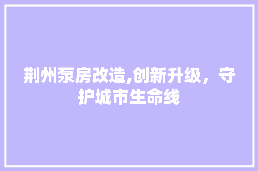 荆州泵房改造,创新升级，守护城市生命线