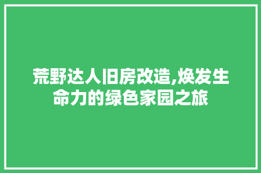 荒野达人旧房改造,焕发生命力的绿色家园之旅 地面装修