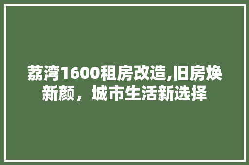 荔湾1600租房改造,旧房焕新颜，城市生活新选择