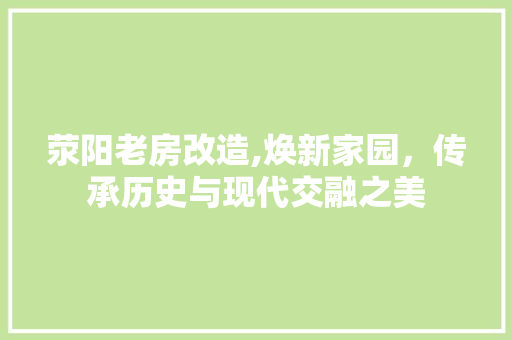 荥阳老房改造,焕新家园，传承历史与现代交融之美