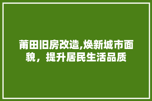 莆田旧房改造,焕新城市面貌，提升居民生活品质