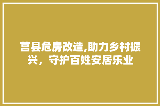 莒县危房改造,助力乡村振兴，守护百姓安居乐业 庭院装修