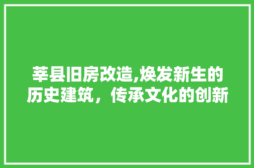 莘县旧房改造,焕发新生的历史建筑，传承文化的创新方法