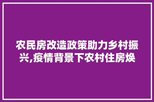农民房改造政策助力乡村振兴,疫情背景下农村住房焕新颜