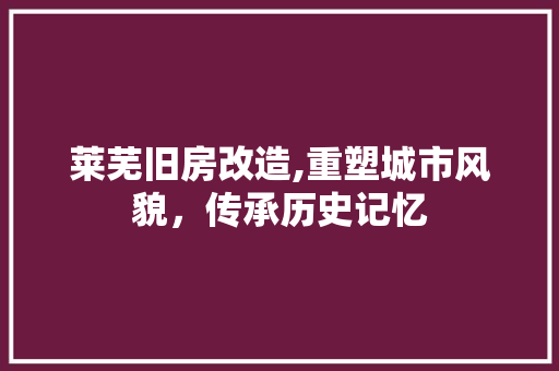 莱芜旧房改造,重塑城市风貌，传承历史记忆