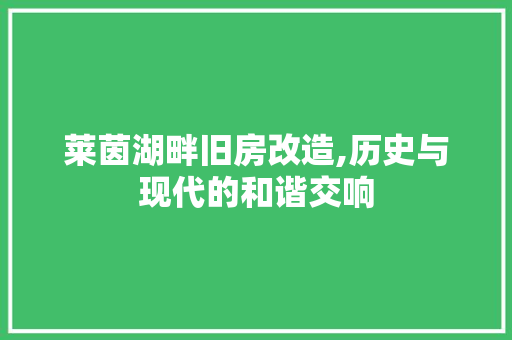 莱茵湖畔旧房改造,历史与现代的和谐交响