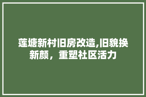 莲塘新村旧房改造,旧貌换新颜，重塑社区活力 装修攻略