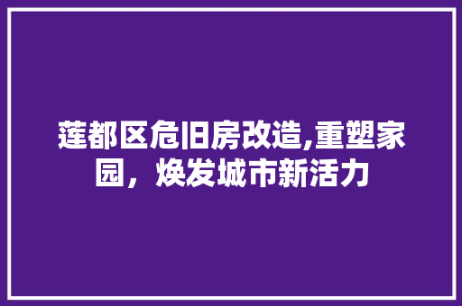 莲都区危旧房改造,重塑家园，焕发城市新活力