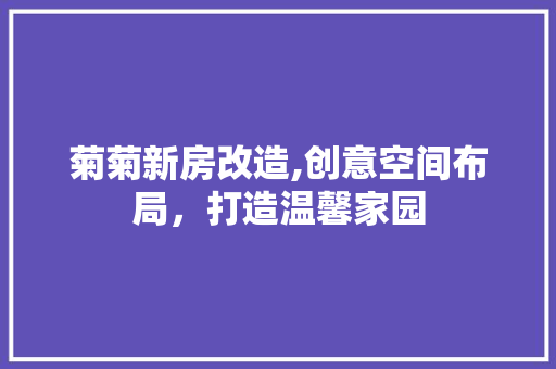 菊菊新房改造,创意空间布局，打造温馨家园 装修材料