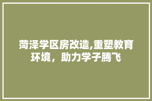 菏泽学区房改造,重塑教育环境，助力学子腾飞 装修攻略