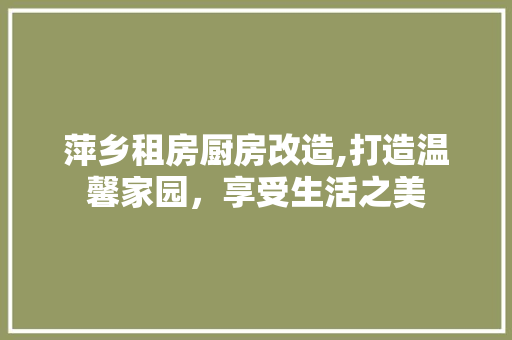 萍乡租房厨房改造,打造温馨家园，享受生活之美