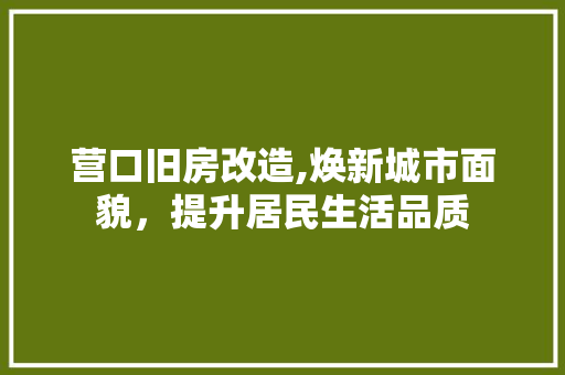 营口旧房改造,焕新城市面貌，提升居民生活品质