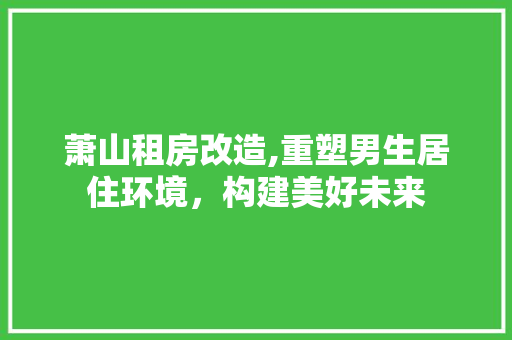 萧山租房改造,重塑男生居住环境，构建美好未来