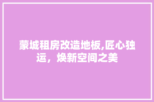 蒙城租房改造地板,匠心独运，焕新空间之美