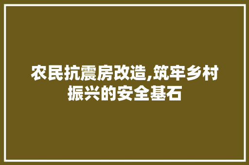 农民抗震房改造,筑牢乡村振兴的安全基石