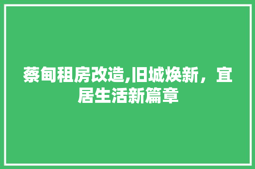 蔡甸租房改造,旧城焕新，宜居生活新篇章 门窗装修
