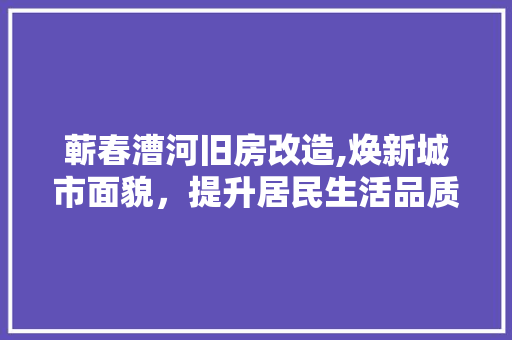 蕲春漕河旧房改造,焕新城市面貌，提升居民生活品质 庭院装修
