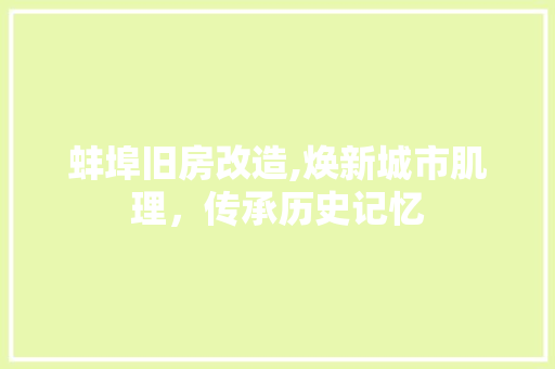 蚌埠旧房改造,焕新城市肌理，传承历史记忆 装修材料