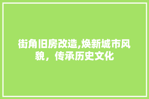 街角旧房改造,焕新城市风貌，传承历史文化