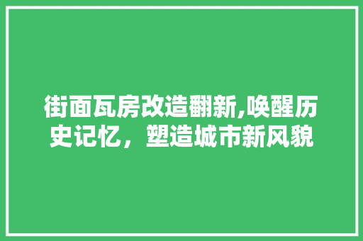 街面瓦房改造翻新,唤醒历史记忆，塑造城市新风貌 装修攻略