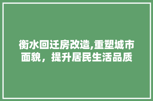 衡水回迁房改造,重塑城市面貌，提升居民生活品质 墙面装饰