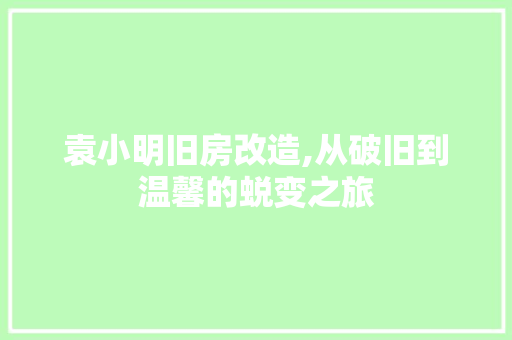 袁小明旧房改造,从破旧到温馨的蜕变之旅