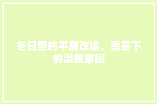 冬日里的平房改造，雪景下的温馨家园