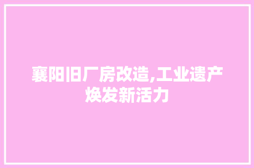 襄阳旧厂房改造,工业遗产焕发新活力
