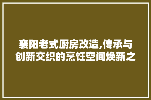 襄阳老式厨房改造,传承与创新交织的烹饪空间焕新之旅 装修材料