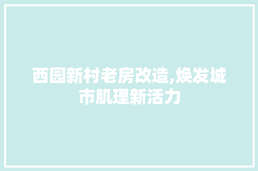 西园新村老房改造,焕发城市肌理新活力 建筑设计