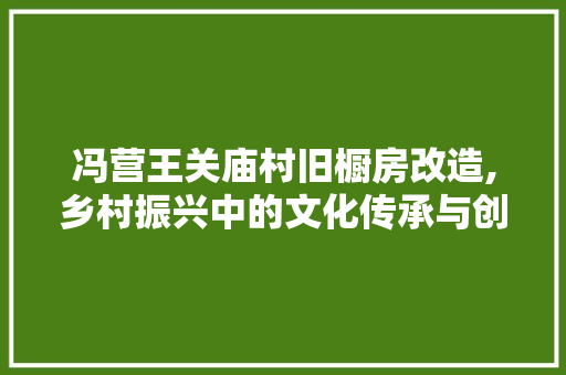 冯营王关庙村旧橱房改造,乡村振兴中的文化传承与创新发展