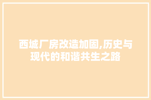 西城厂房改造加固,历史与现代的和谐共生之路 装修材料