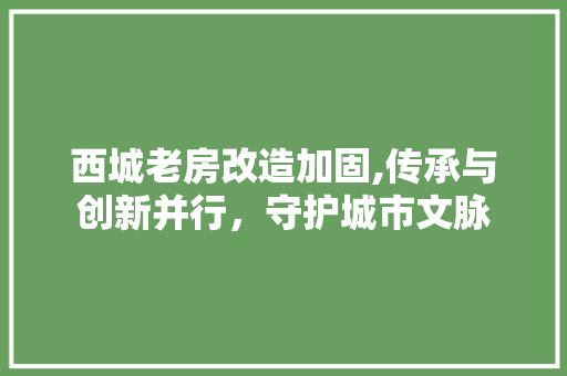 西城老房改造加固,传承与创新并行，守护城市文脉 墙面装饰