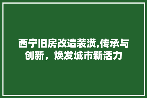 西宁旧房改造装潢,传承与创新，焕发城市新活力