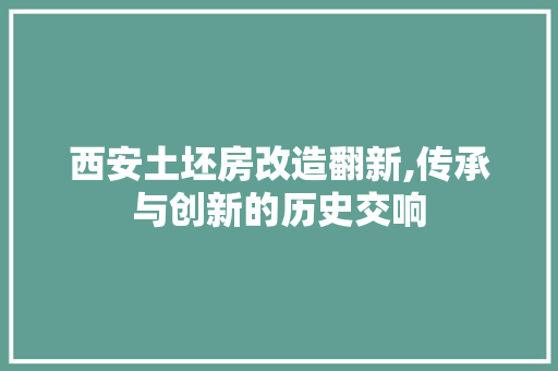 西安土坯房改造翻新,传承与创新的历史交响 门窗装修