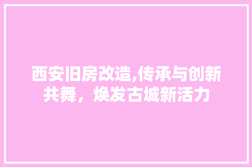 西安旧房改造,传承与创新共舞，焕发古城新活力
