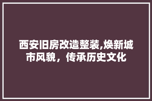 西安旧房改造整装,焕新城市风貌，传承历史文化