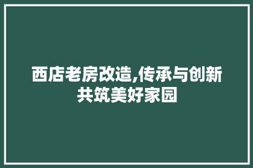 西店老房改造,传承与创新共筑美好家园 装修材料
