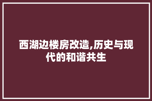 西湖边楼房改造,历史与现代的和谐共生 墙面装饰