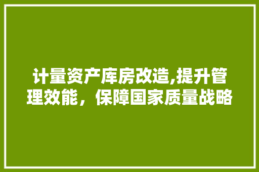 计量资产库房改造,提升管理效能，保障国家质量战略 庭院装修