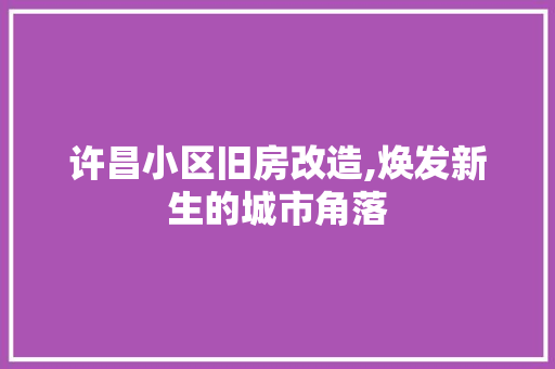 许昌小区旧房改造,焕发新生的城市角落