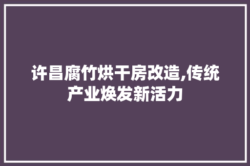 许昌腐竹烘干房改造,传统产业焕发新活力