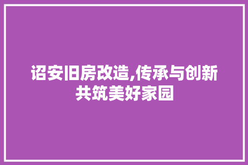 诏安旧房改造,传承与创新共筑美好家园 建筑设计