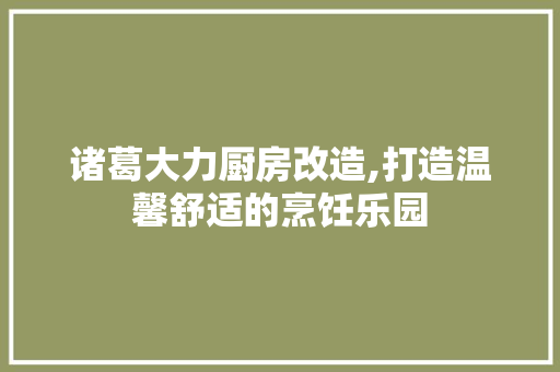 诸葛大力厨房改造,打造温馨舒适的烹饪乐园