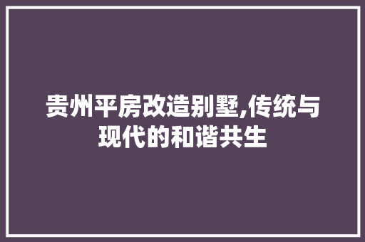 贵州平房改造别墅,传统与现代的和谐共生 墙面装饰