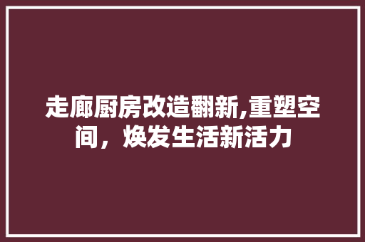 走廊厨房改造翻新,重塑空间，焕发生活新活力