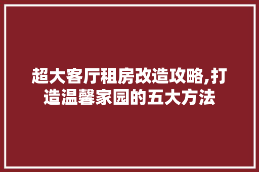 超大客厅租房改造攻略,打造温馨家园的五大方法 门窗装修